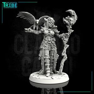 (0028) Female human elf half orc tiefling sorceress with rapacious