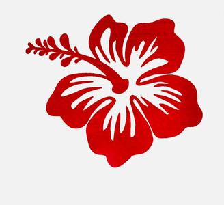 FLOR DE AMAPOLA