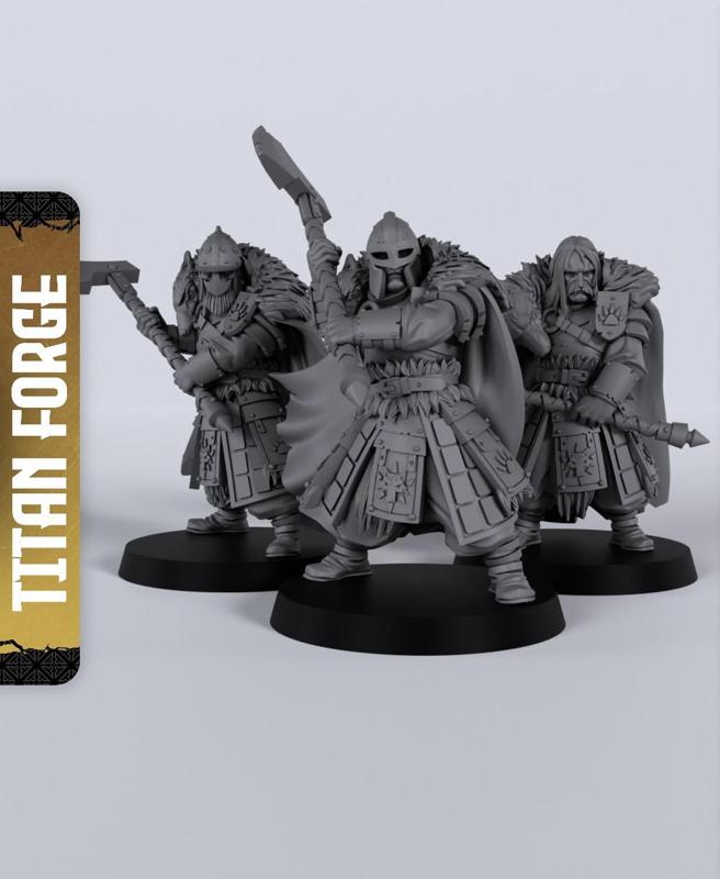 Wolf Order Warriors 2H - With Free Dragon  - 5e DnD Inspired for RPG and Wargamers