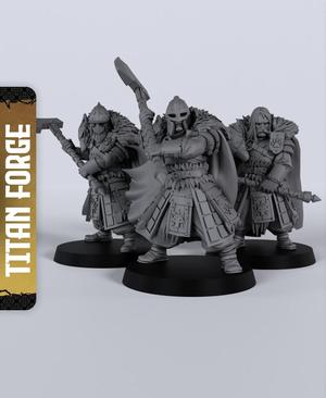 Wolf Order Warriors 2H - With Free Dragon  - 5e DnD Inspired for RPG and Wargamers