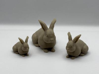 Simple Bunny
