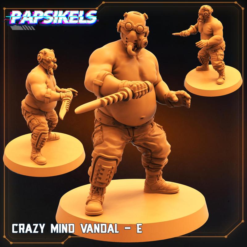 CRAZY MIND VANDAL - E