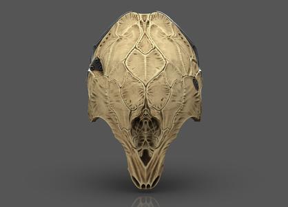 Prey Predator Mask