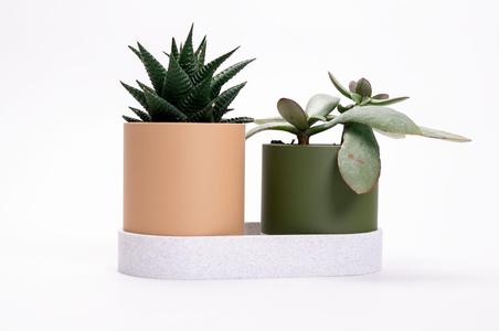 Connected Planter