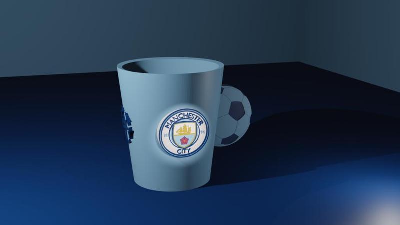 Manchester city cup