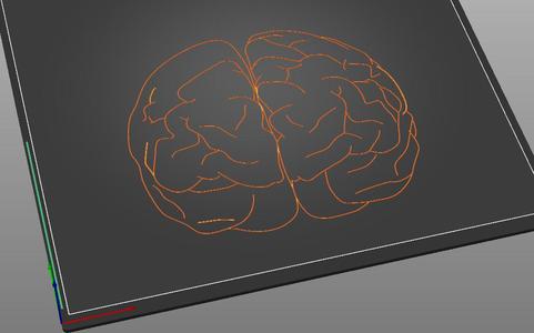 Tactile image: brain (front)