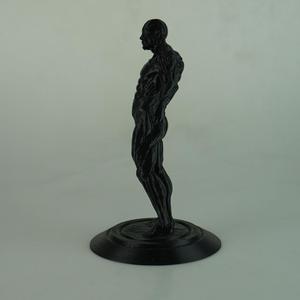 human figure MALE
