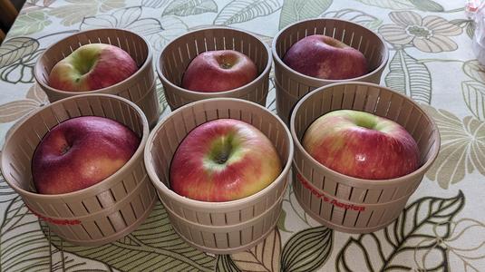Apple Basket