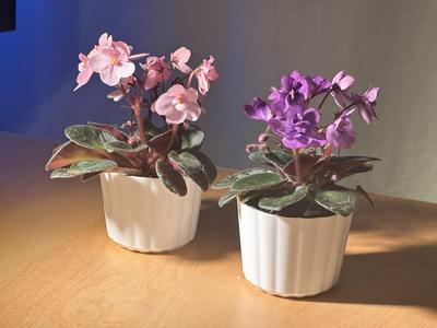 Small Planter Pot