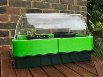 Seed Tray Propagator Height Extension