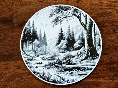 Coaster: Forest Landscape