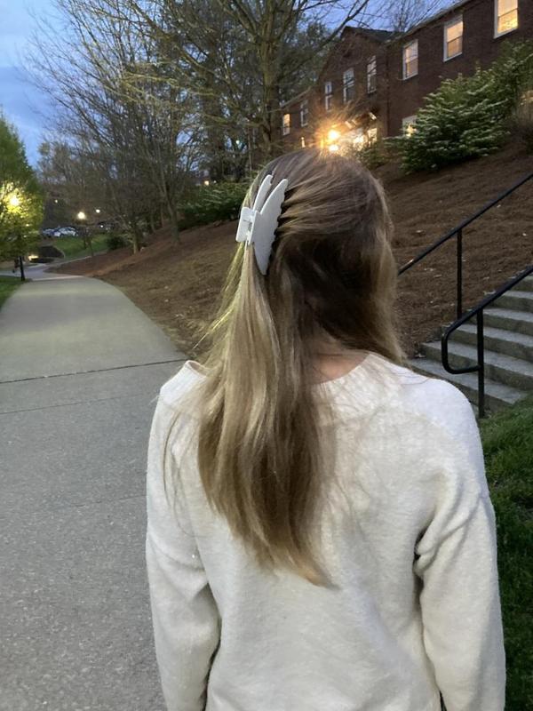 Hair Clip - Version 1