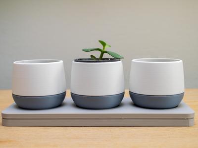 Mini Plant Pots with tray and drainage