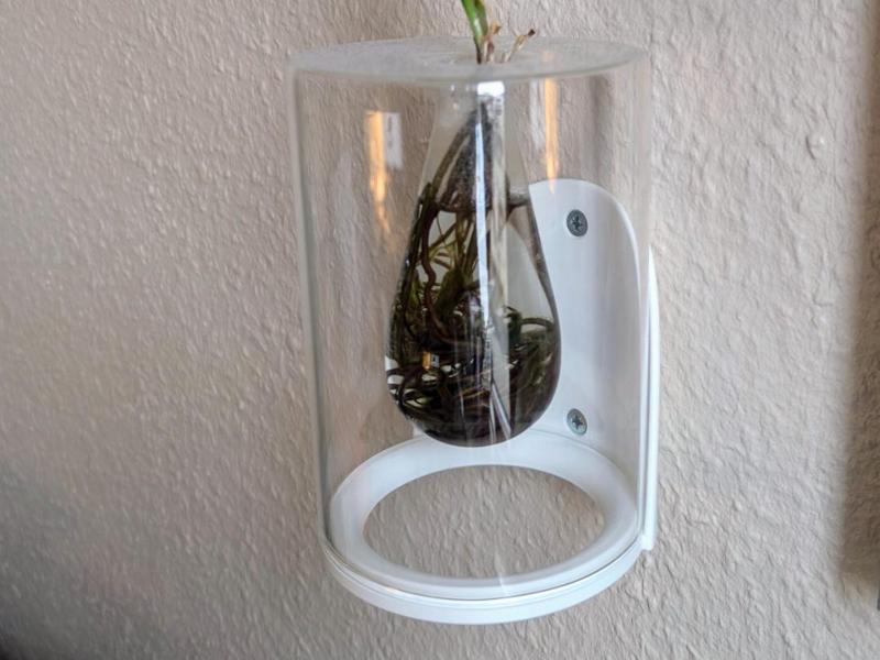 Wall Mount for Glass Vases | Floating Vase