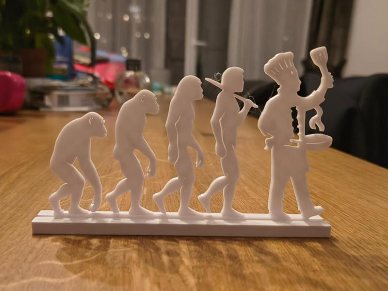 Human Evolution to Chef Silhouette