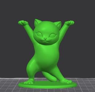 Graphics Card Bracket Dancing Cat