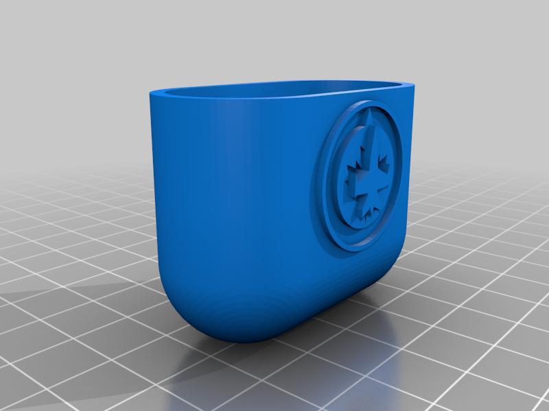 AirPods Case (Winnipeg Jets Logo)