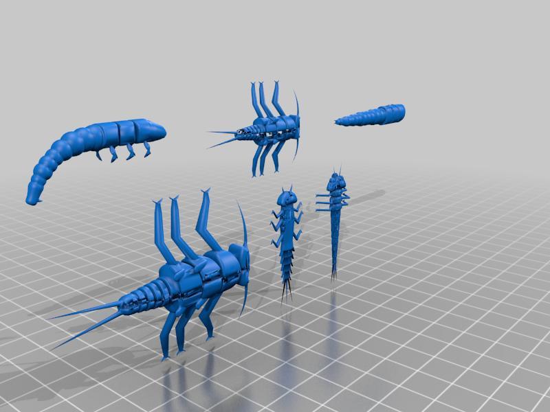 Fly Fishing Nymph assortment