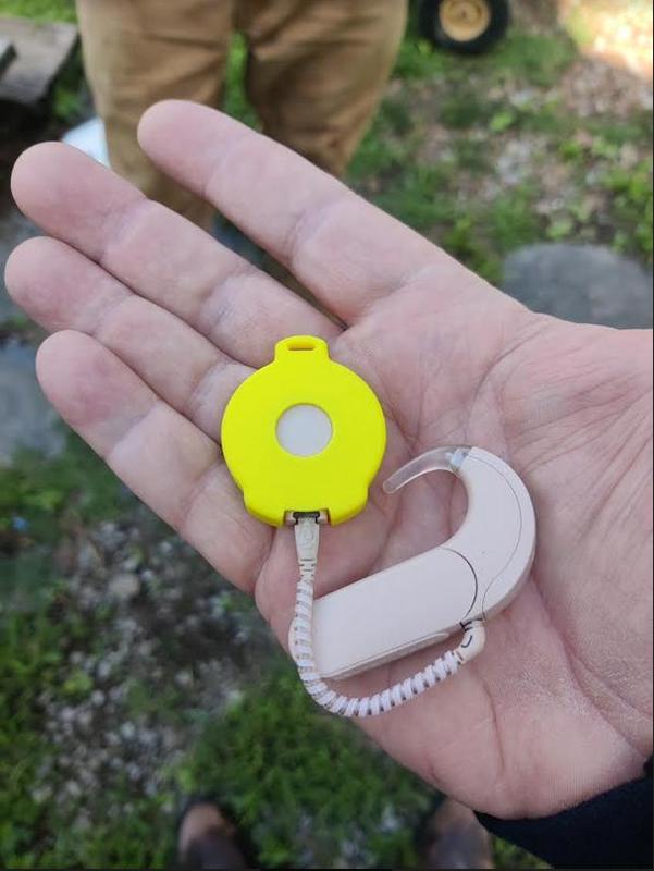 Cochlear implant cover