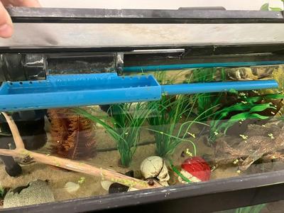 AquaClear 70 water filter distributor