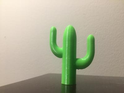 Cactus