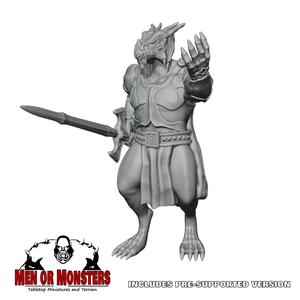 Dragonborn Fighter/Paladin