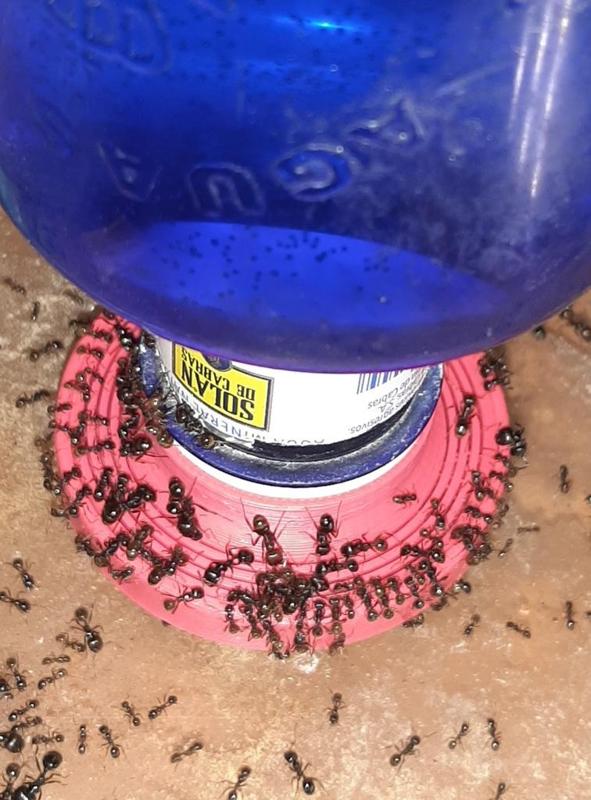 Tapones para uso variado, imprimir fusionar, caps for mixed use, print merge