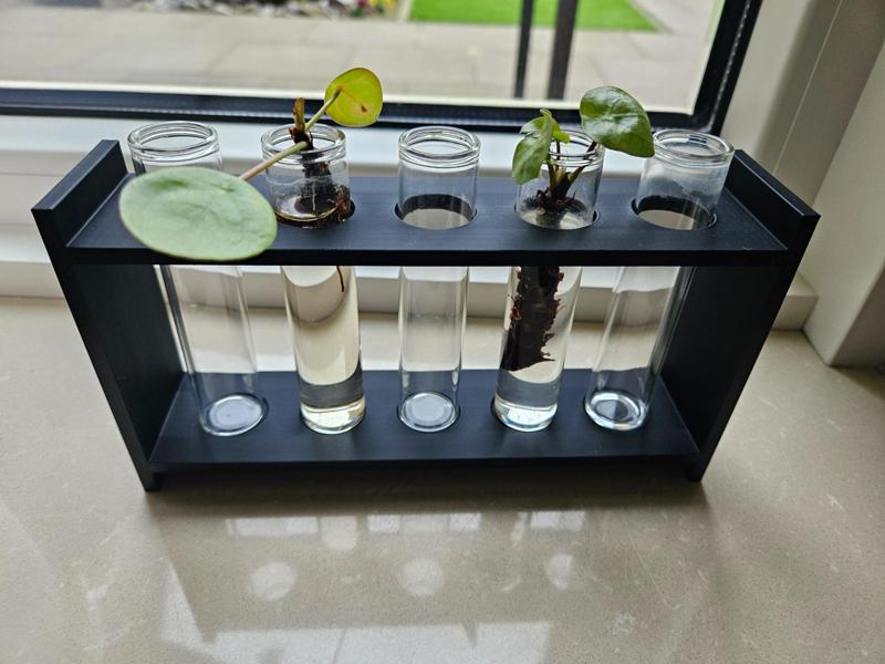 Test Tube holder for propagating plants