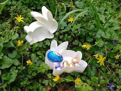Rabbit 00A3, nestable box (v2)