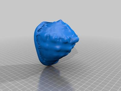 Sea Shell 3D scan, Kings Helmet