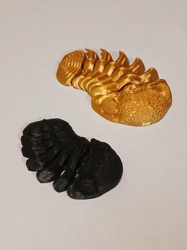 Trilobite - Eldredgeops Rana