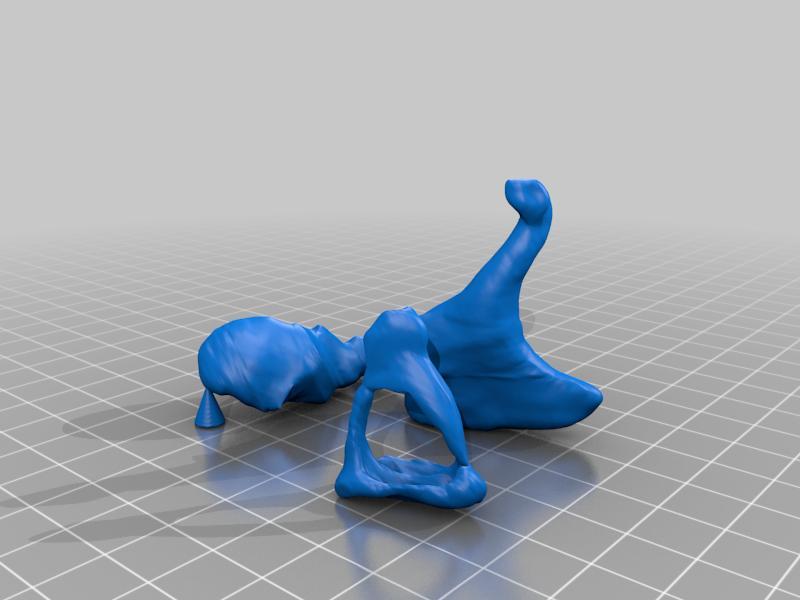 Human Ear Bones - Malleus, Incus, and Stapes