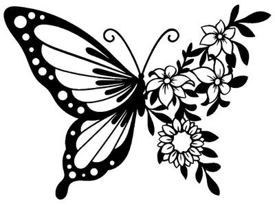 2d Butterfly 2