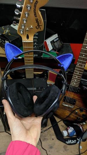 Audiophile cat ears for AKG K702