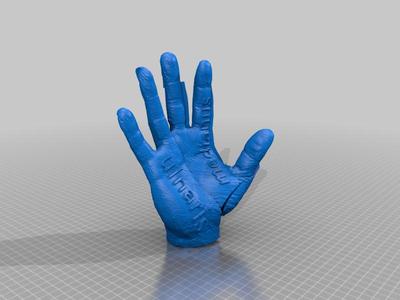 Hand Innervation