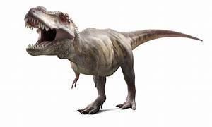 t rex