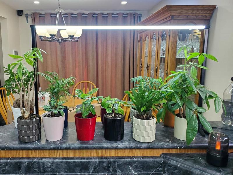 LED Strip overhead plant light