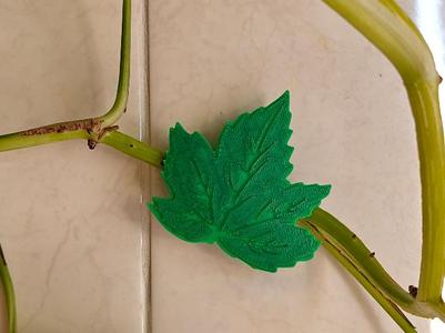 Magnetic leaf hook