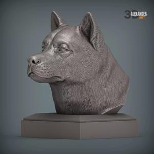 American Akita bust