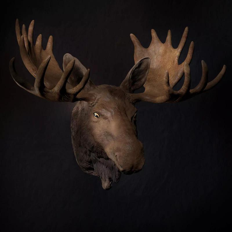 Bull Elk - Portrait including Wall Mounting