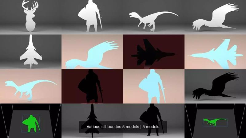 Various silhouettes 5 models 3D Model Collection