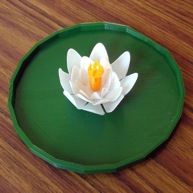 Lotus 3D
