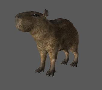 Green Hell - Capybara