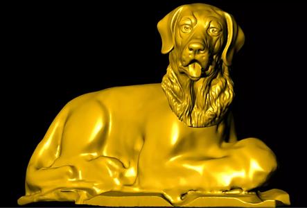dogs  animal