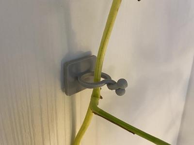 Plant Wall Climbing Vine Clips