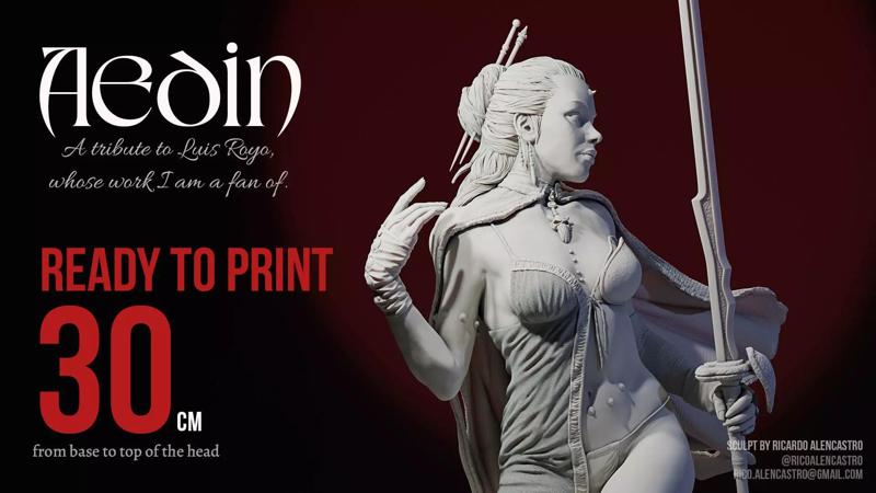 Aedin - Luis Royo tribute