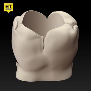 Molar Tooth Pencil Holder