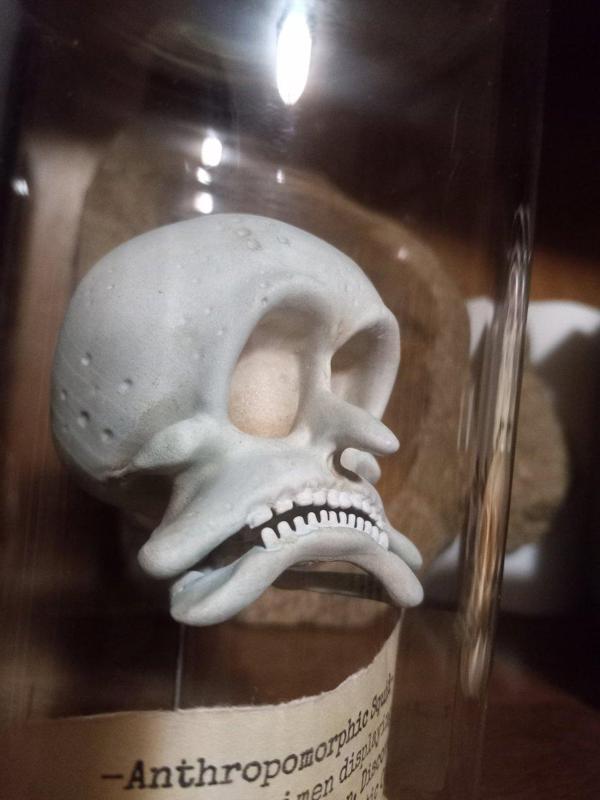 Fan Art Squidward Skull