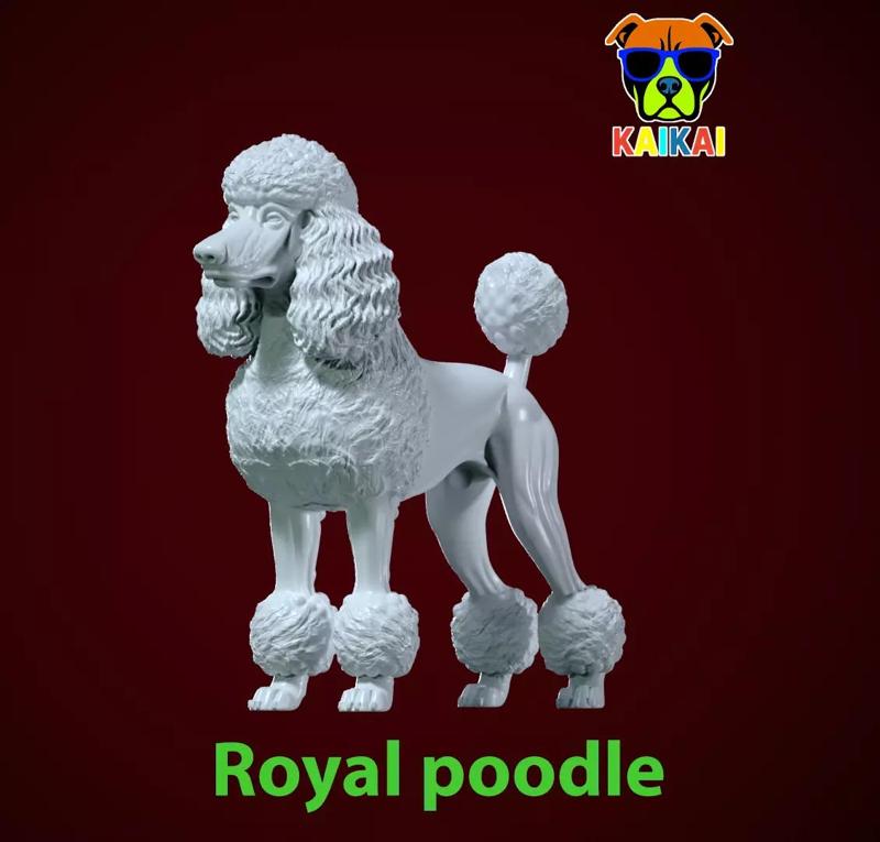 Royal poodle Dog model - Poodle Dog statue - 3D print