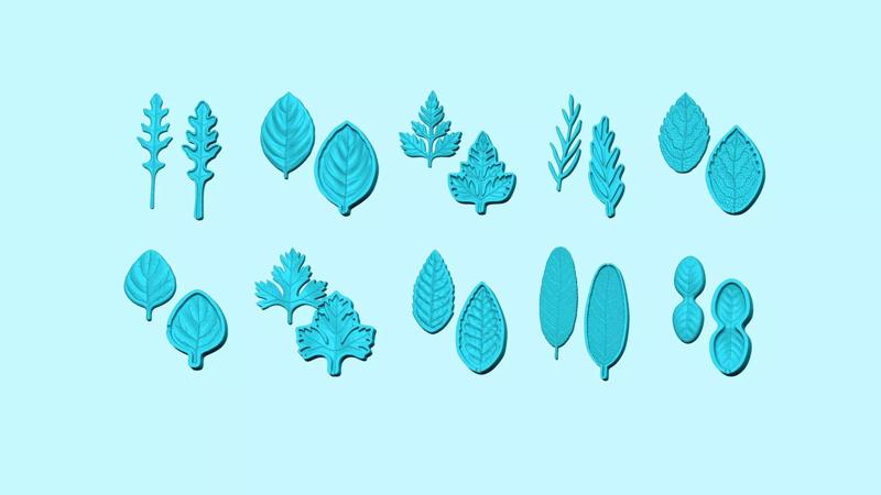 10 Culinary Herbs Leaf Molds - Artificial Molding Tools 3D Model Collection